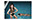 mirosław pietruszyński mirek fashion swimming pool